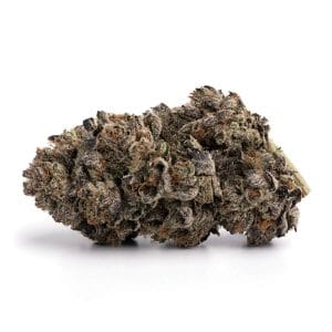 Grand Daddy Purple | Online Dispensary | Buy Cannabis Online